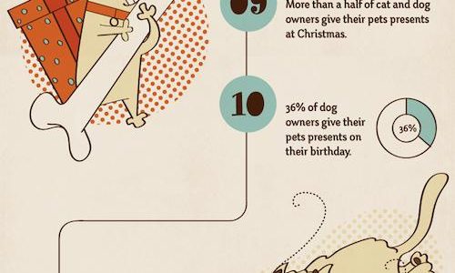 20 Facts About Pet Owners
