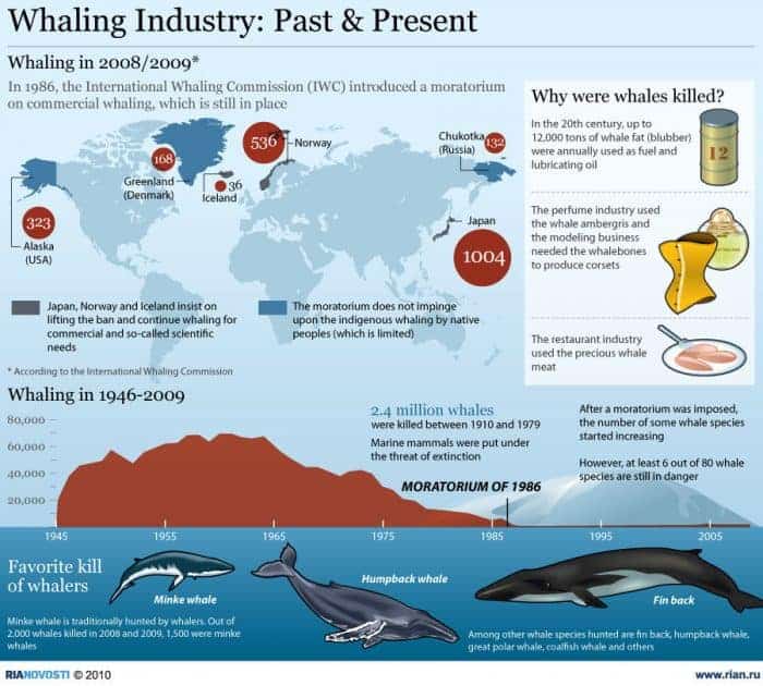 Whaling Industry Timeline