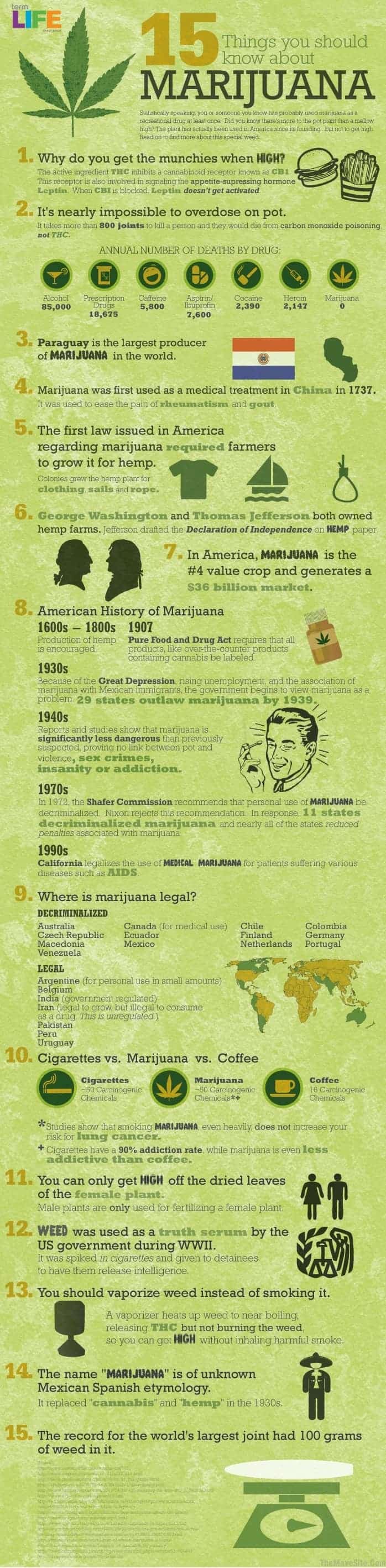 15 Things to Know About Marijuana