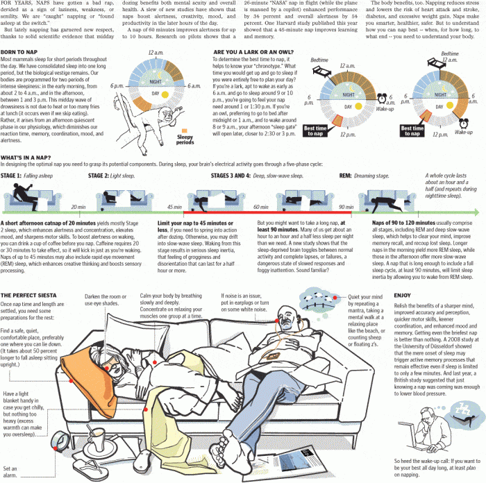 Napping Infographic