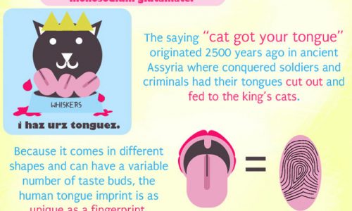 Tongue Infographic