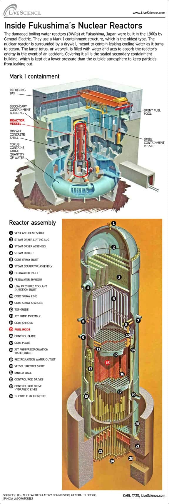 Fukushima Reactor