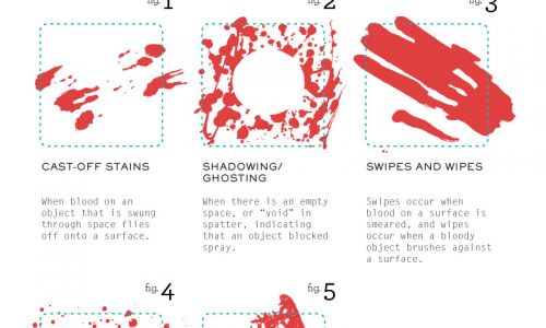 Bloody Mess Infographic
