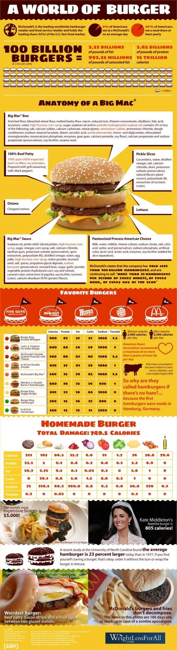 Hamburgers Infographic