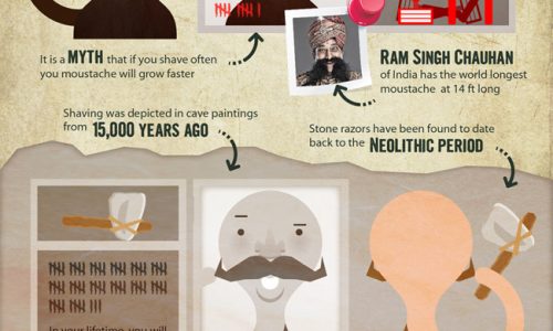 Hairy Truth About The Moustache
