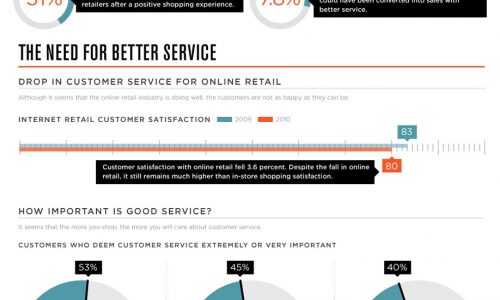 Online Customer Infographic