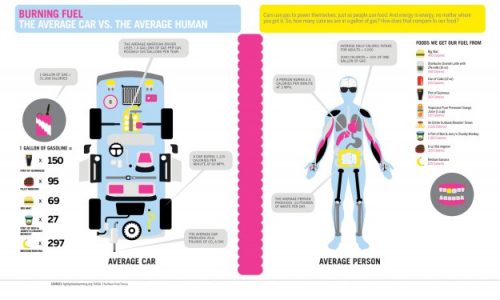 Burning Fuel The Average Car vs. The Average Human