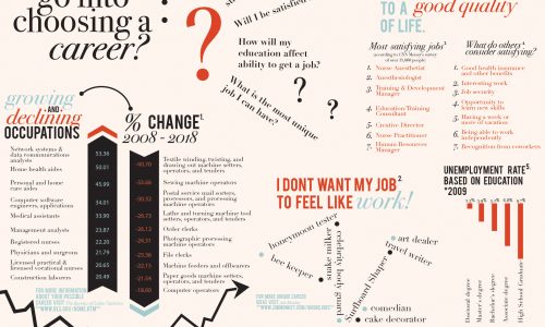 Choosing a Career Infographic