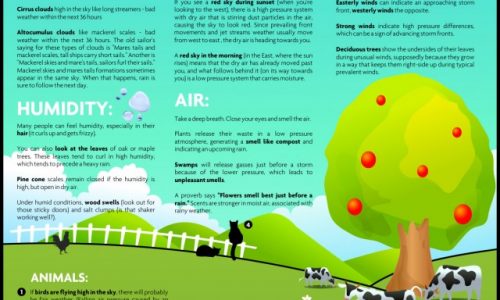 How to Forecast Weather Without Gadgets Infographic