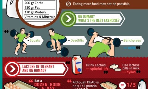 Reddit's Guide to Fitness Infographic