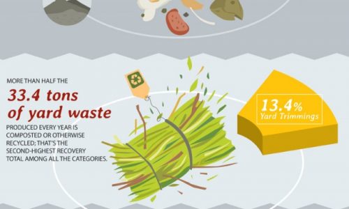 What’s In Your Trash Infographic