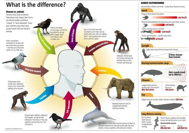 Humans vs. Animals Infographic