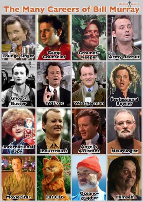 Many Careers of Bill Murray Infographic