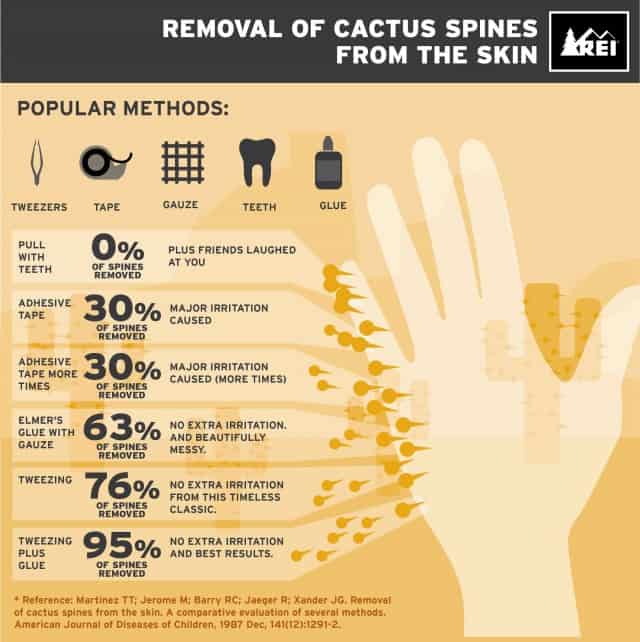 Removal Of Cactus Spines From The Skin