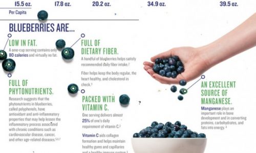 Blueberries A Handful of Health