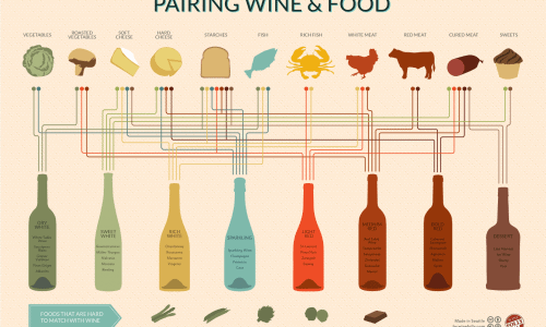 wine and food pairing chart