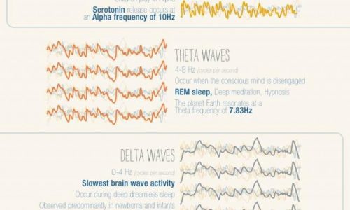 Psychology of Music Infographic