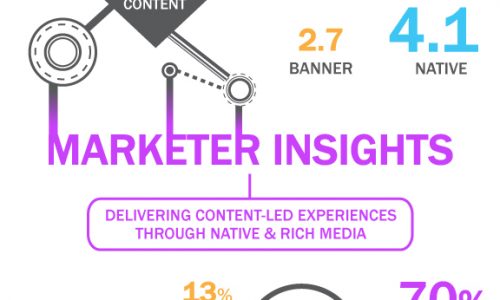 Audience and Marketer Insights on Digital Advertising Infographic