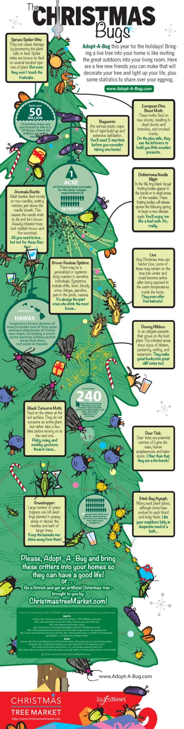 Christmas Bugs Infographic