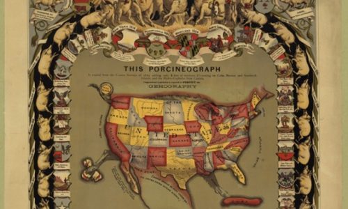Porcineograph Infographic