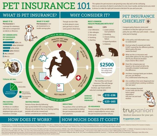Pet Insurance 101