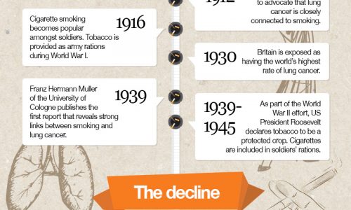 History Of Smoking Infographic
