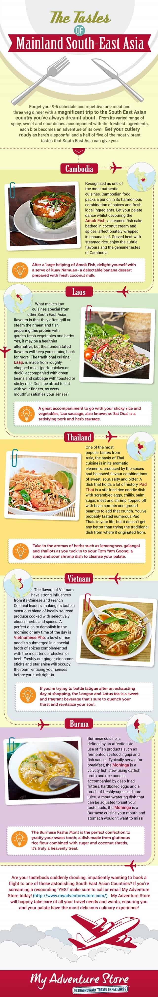 Tastes of Mainland South-East Asia Infographic