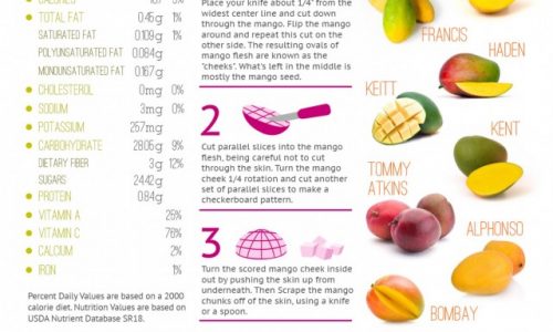 Most Fabulous Mango Infographic