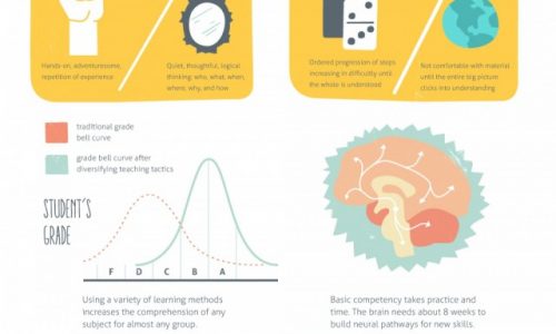 What it Means to be an Expert Infographic