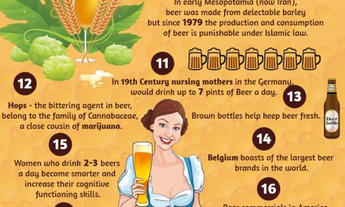 29 Little Known Facts About Beer