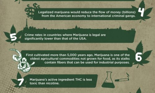 Top 10 Reasons To Legalize Marijuana Infographic