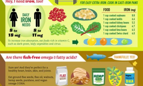 Vegan Diet Infographic