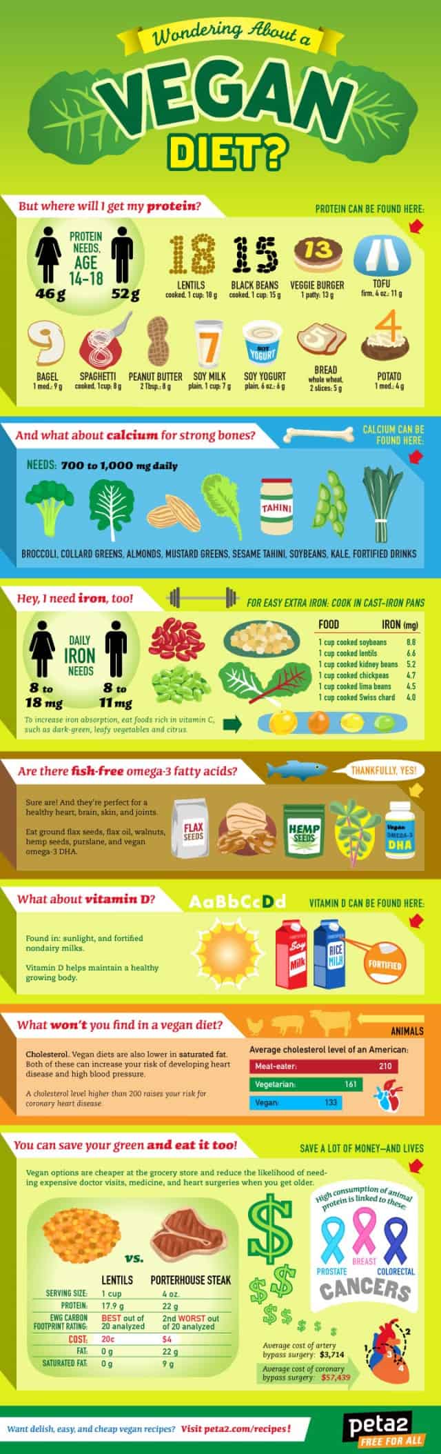 Vegan Diet Infographic