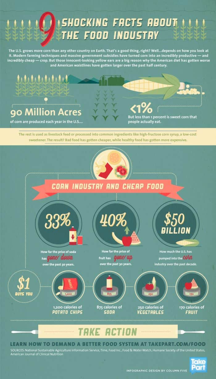 Shocking Facts about the American Corn Industry Infographic