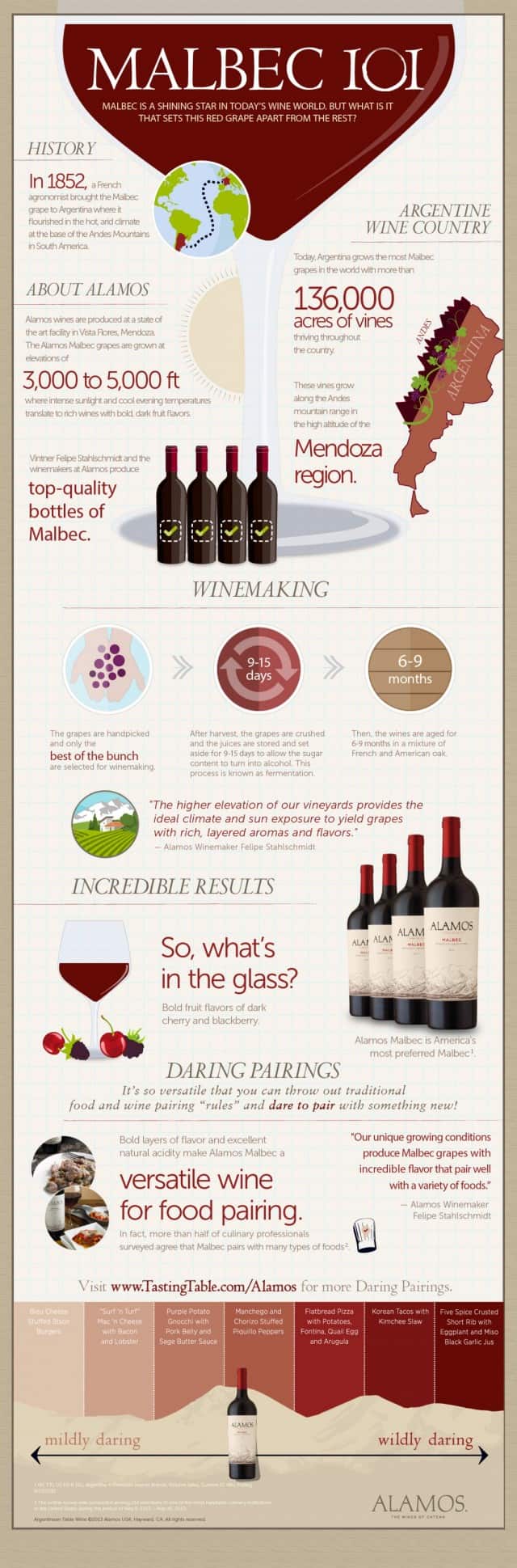 Malbec Wine Enthusiast Infographic