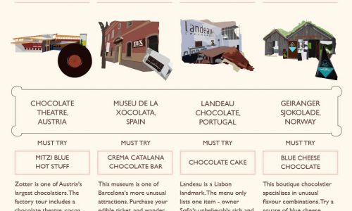 Chocolate Lover's Travel Guide Infographic