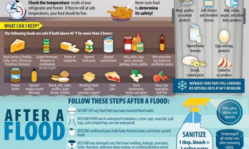 After A Flood Infographic