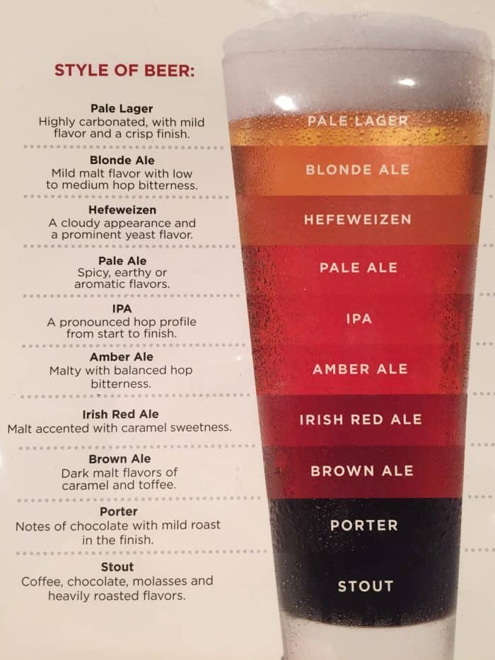 Know Your Beer Infographic