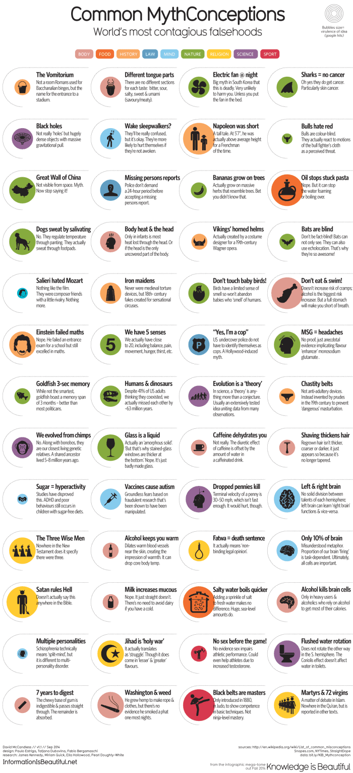 50 Common Myths Conceptions Infographic