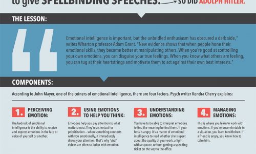 Emotional Intelligence Isn't Being Nice To People Infographic