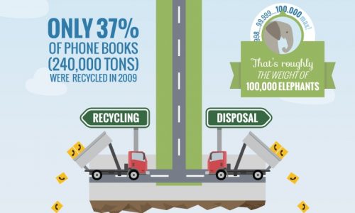 Consequences of Unwanted Phone Books Infographic