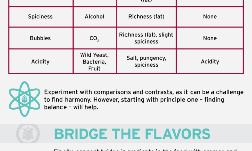 Principles of Beer and Food Pairing Infographic