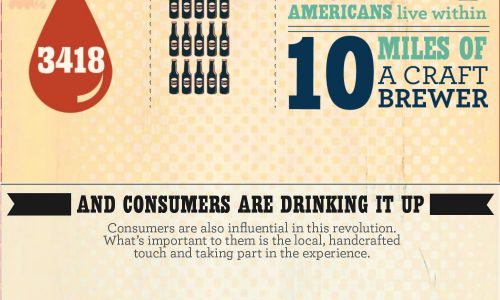 Tapping Into The Craft Beer Movement Infographic