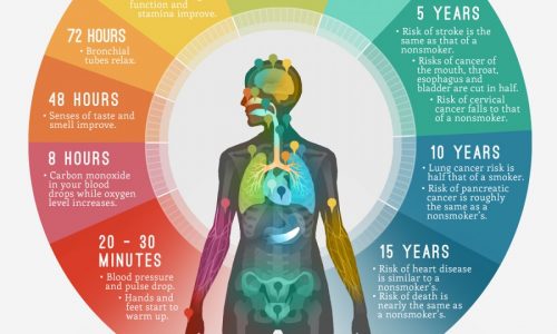 How quitting smoking changes your body infographic