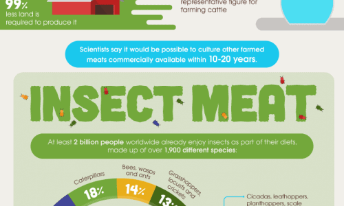 The Future of Meat Infographic