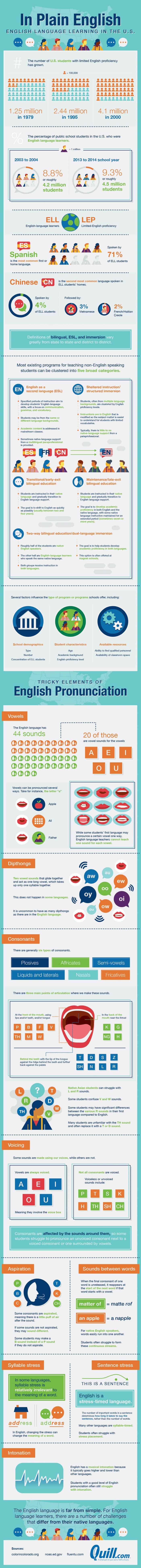 English Language Learning In The US Infographic