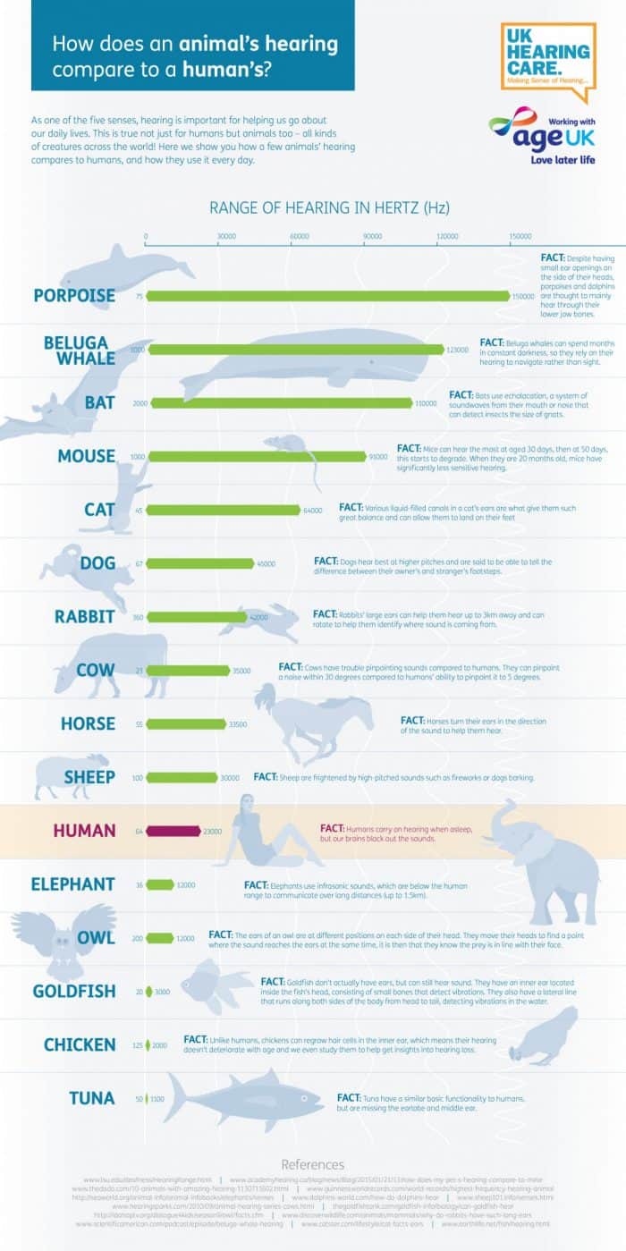 Range of hearing for various animals