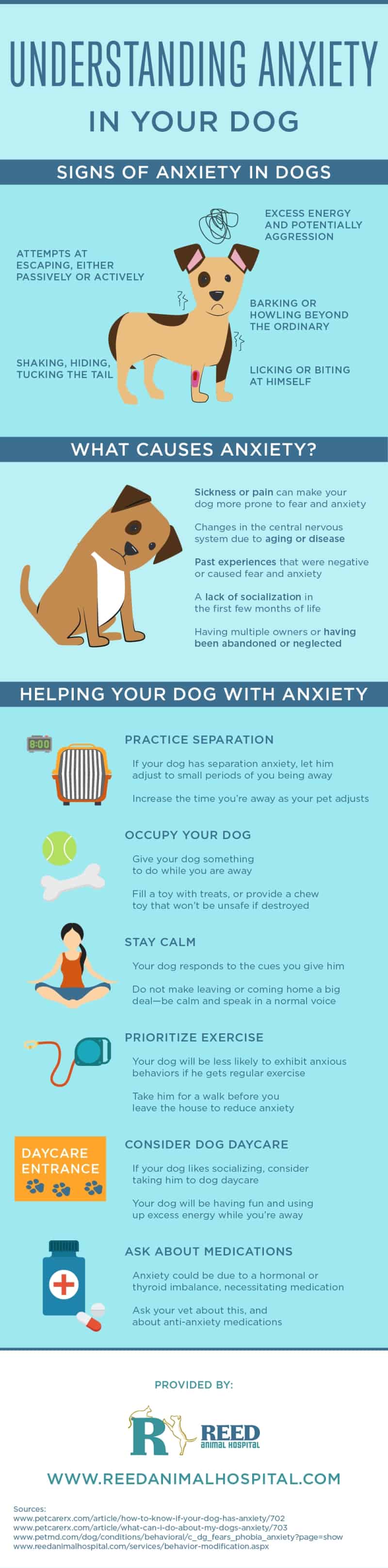 Canine Concern How To Handle Anxiety In Your Dog
