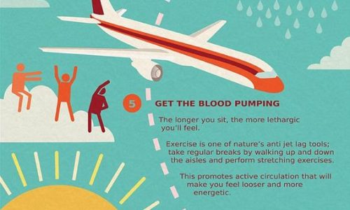 Tips to avoid jet lag infographic