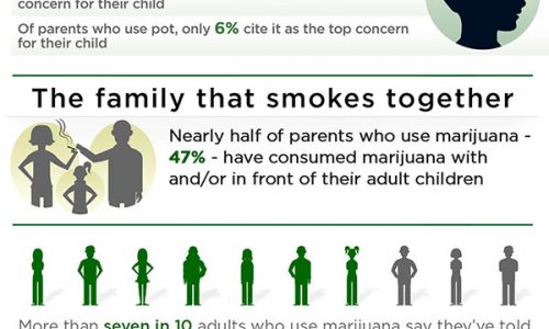Infographic about American families and their thoughts on weed